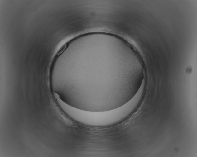 X0000092111230200710101136