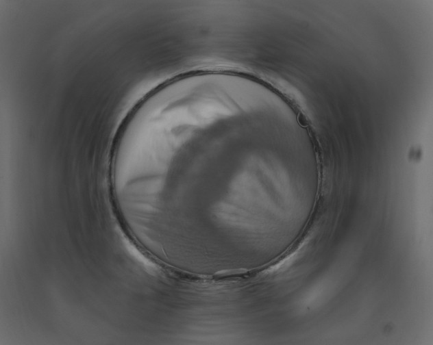 X0000092111231200710101136
