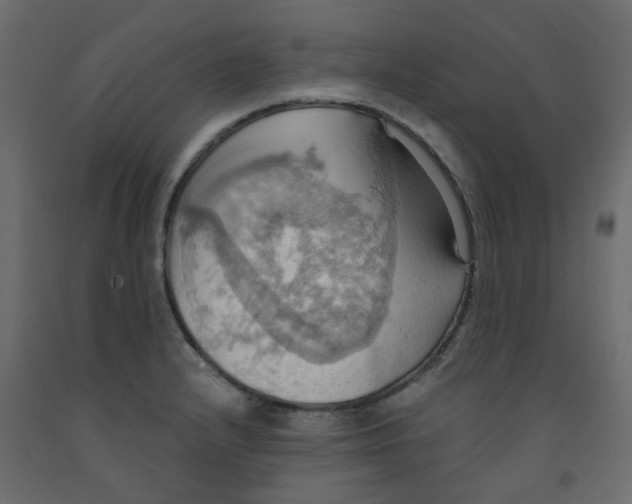X0000092111232200710101136