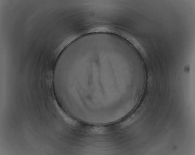 X0000092111233200710101136