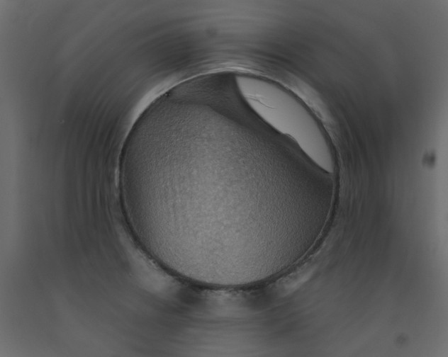 X0000092111234200710101136