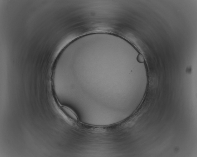 X0000092111235200710101136