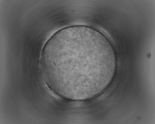 X0000092111236200710101136