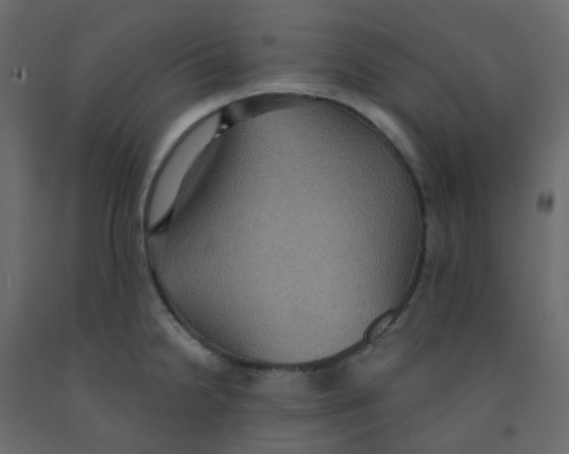 X0000092111238200710101136