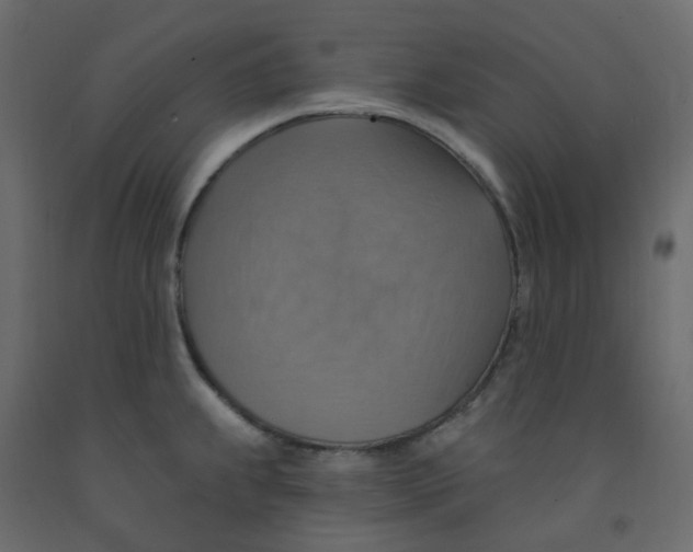 X0000092111239200710101136