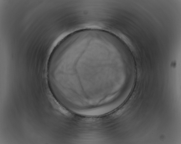 X0000092111240200710101136