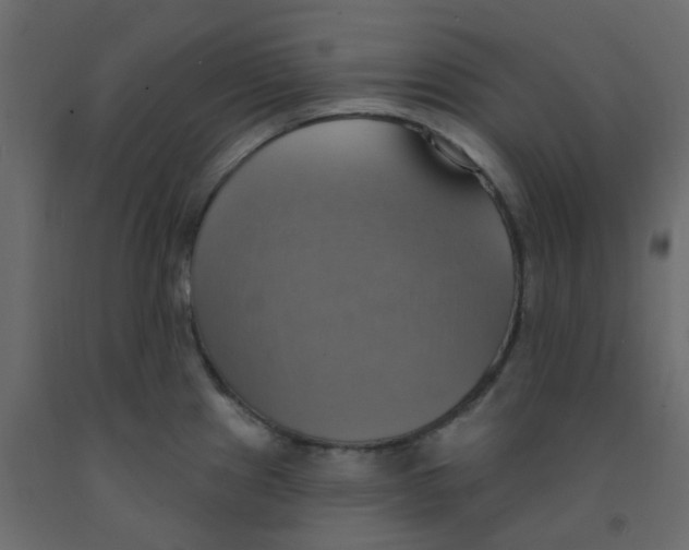 X0000092111241200710101136