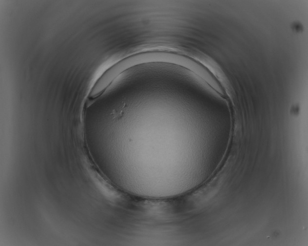 X0000092111242200710101136