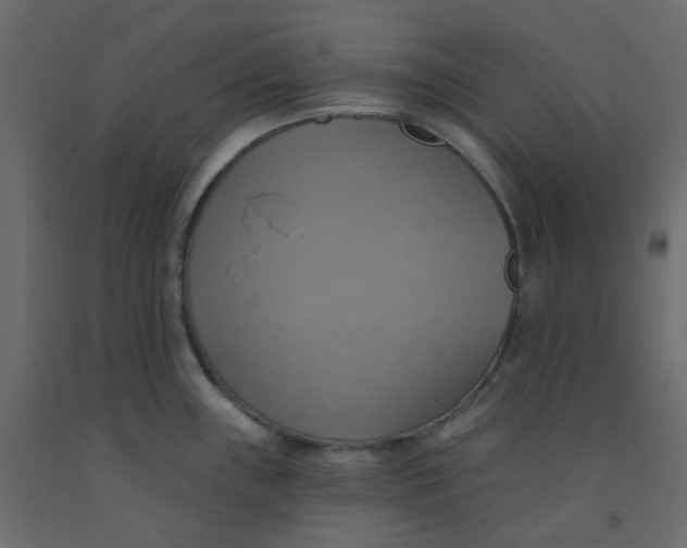 X0000092111243200710101136