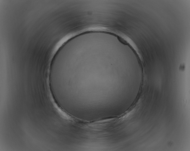 X0000092111245200710101136