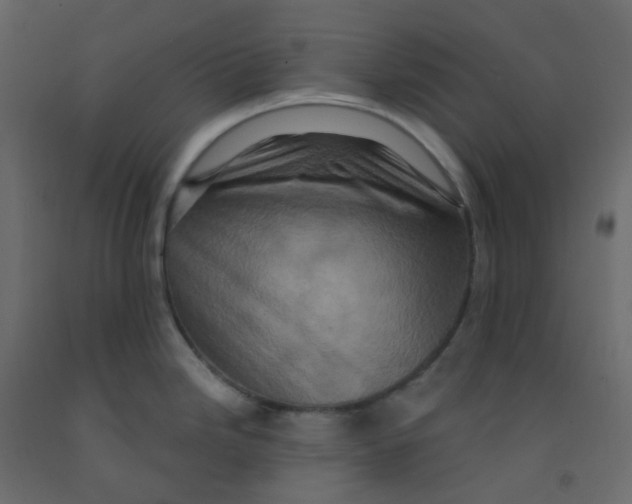 X0000092111246200710101136