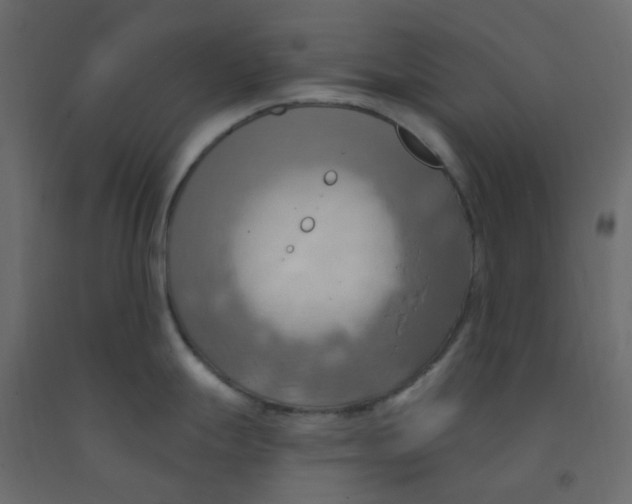 X0000092111247200710101136