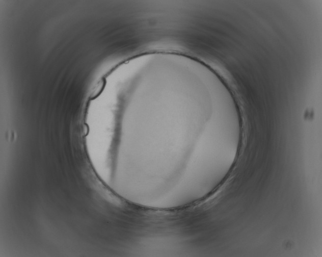 X0000092111248200710101136