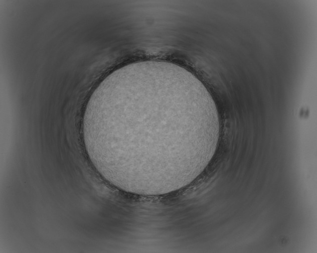 X0000092111249200710101136