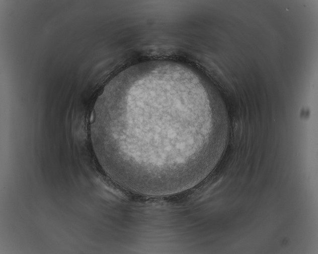 X0000092111250200710101136
