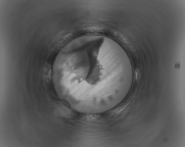 X0000092111251200710101136