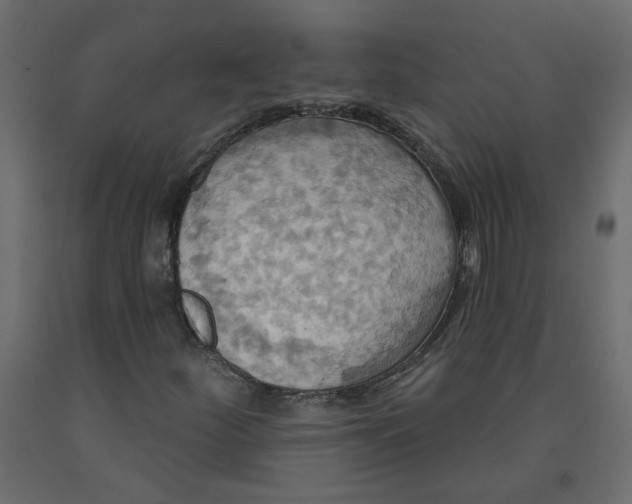 X0000092111252200710101136