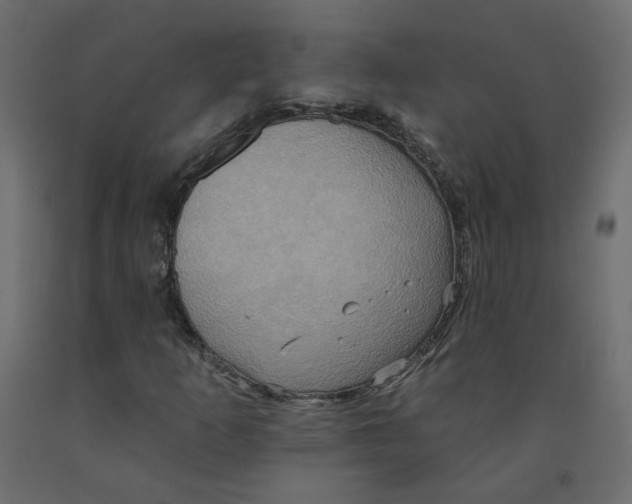 X0000092111253200710101136