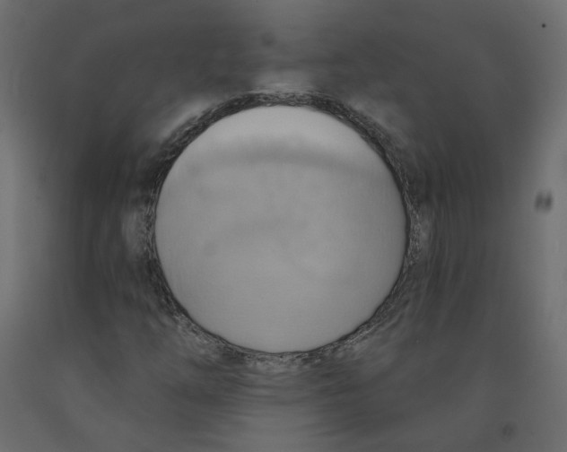 X0000092111254200710101136