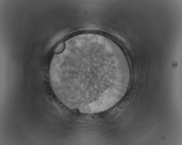 X0000092111255200710101136