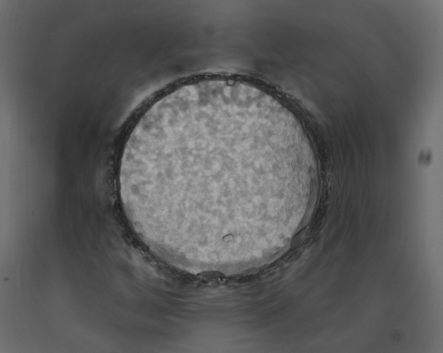 X0000092111256200710101136