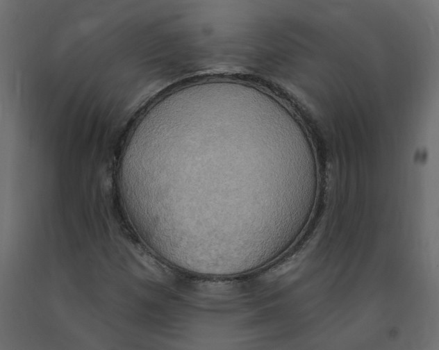 X0000092111257200710101136