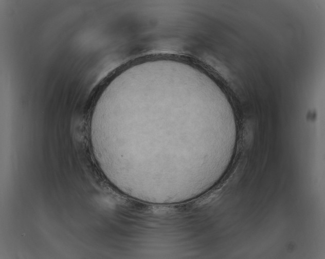 X0000092111258200710101136
