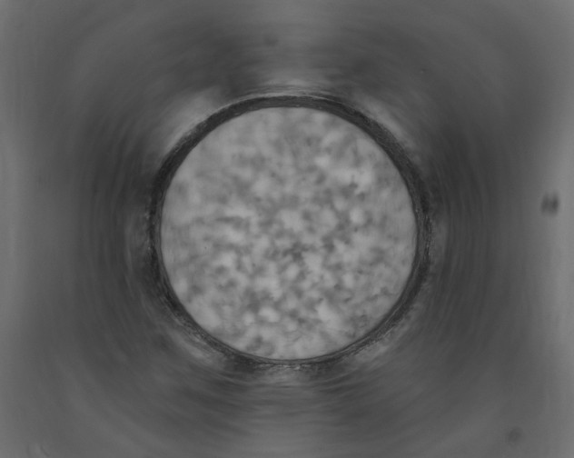 X0000092111259200710101135