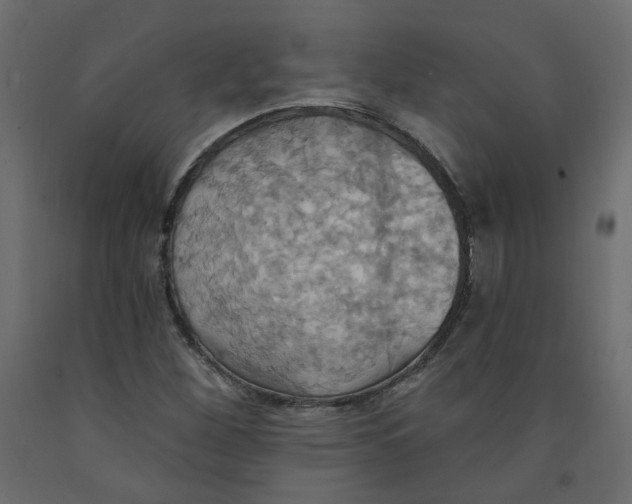 X0000092111260200710101135