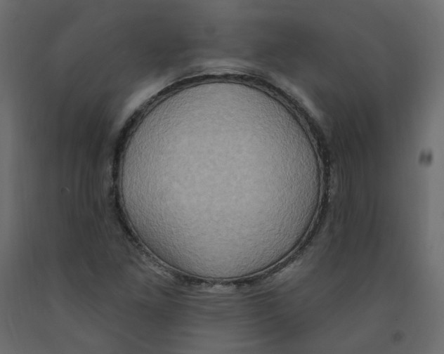 X0000092111261200710101135