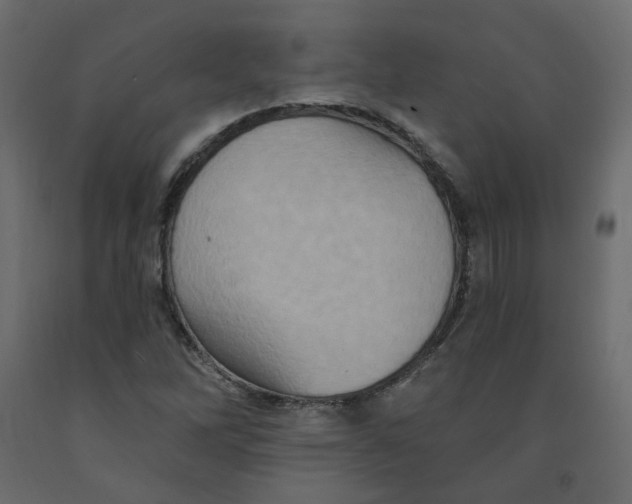 X0000092111262200710101135