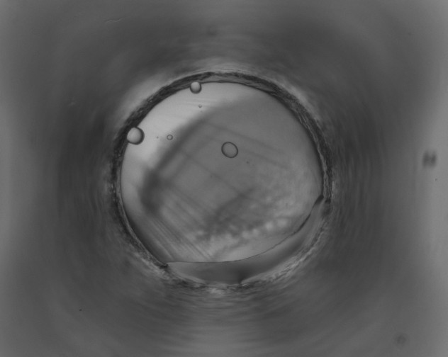 X0000092111263200710101135