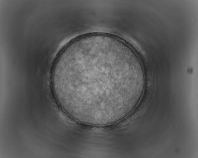 X0000092111264200710101135