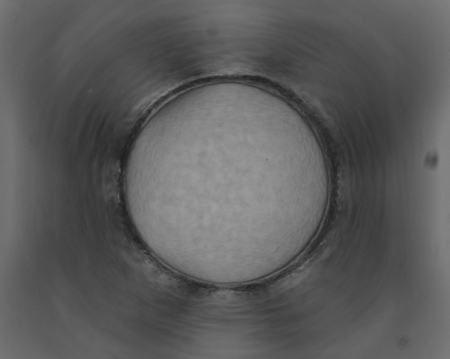 X0000092111265200710101135