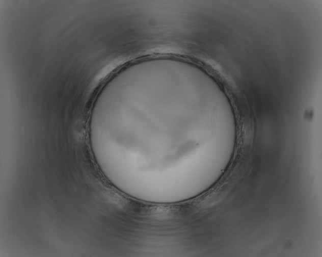 X0000092111266200710101135