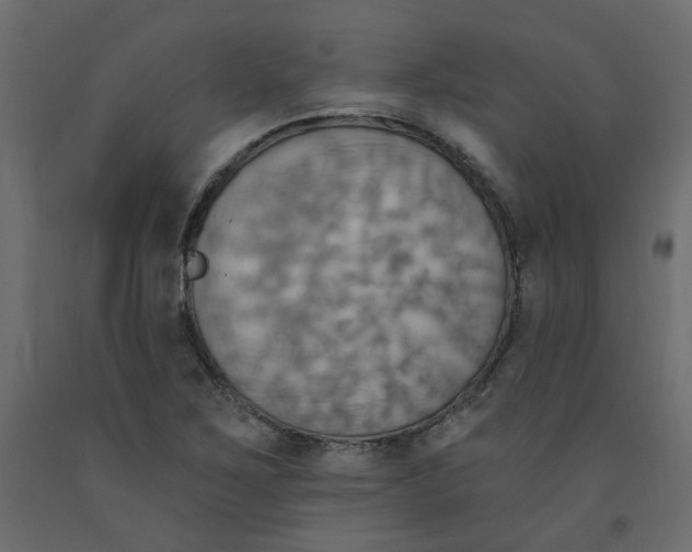 X0000092111267200710101135