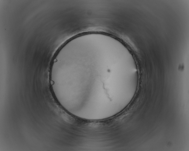 X0000092111268200710101135