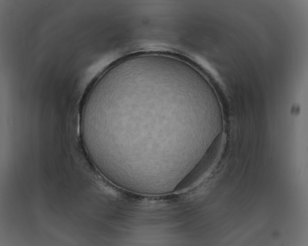 X0000092111269200710101135