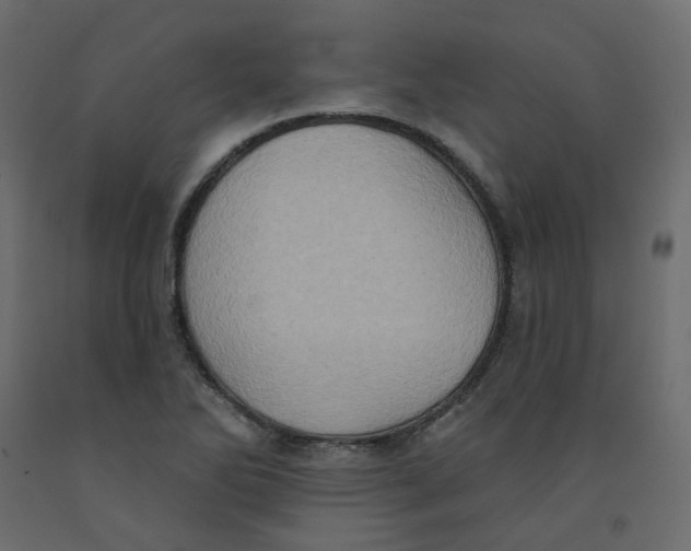 X0000092111270200710101135