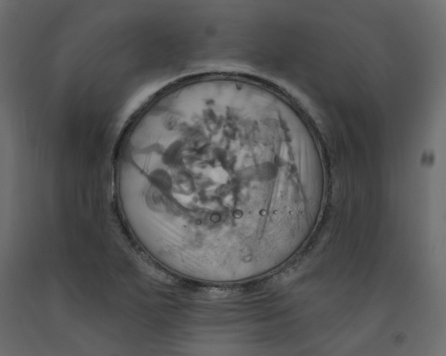 X0000092111271200710101135