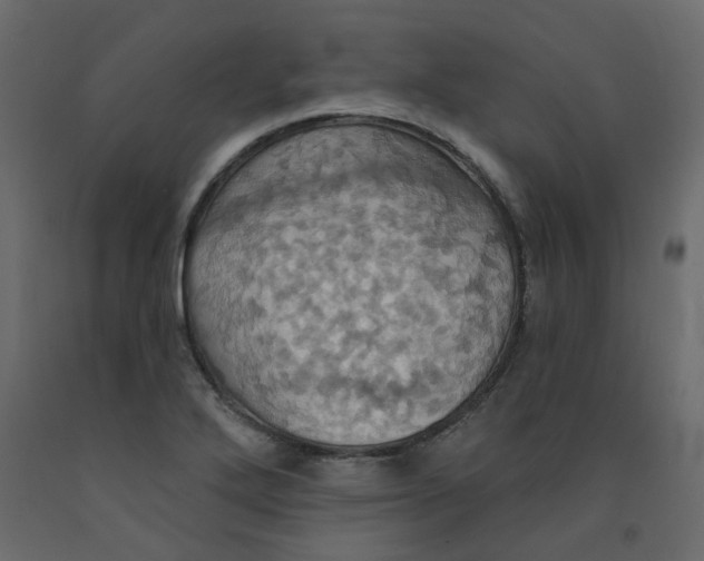 X0000092111272200710101135