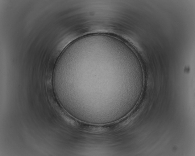 X0000092111273200710101135