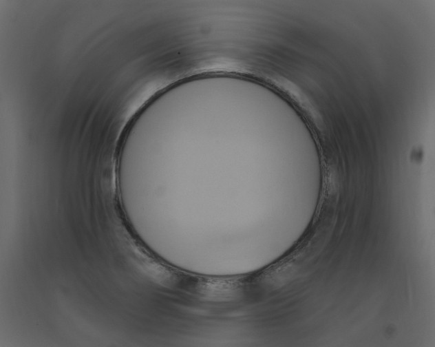 X0000092111274200710101135