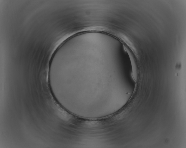 X0000092111276200710101135