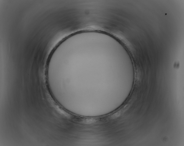 X0000092111278200710101135