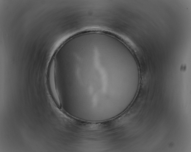 X0000092111279200710101135