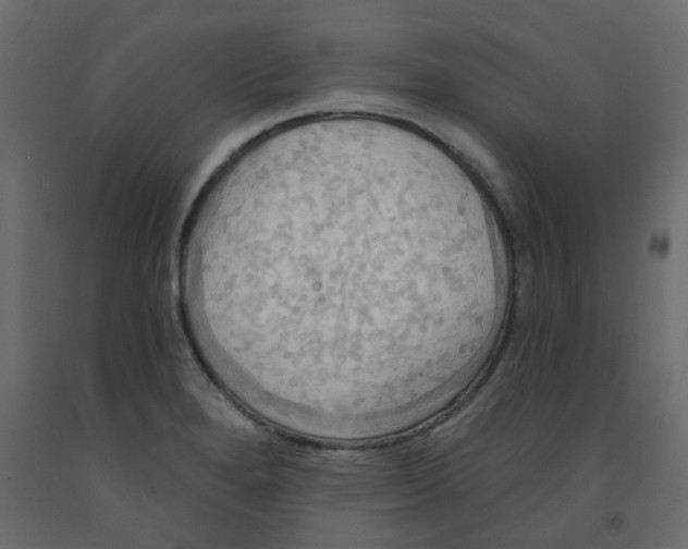 X0000092111280200710101135