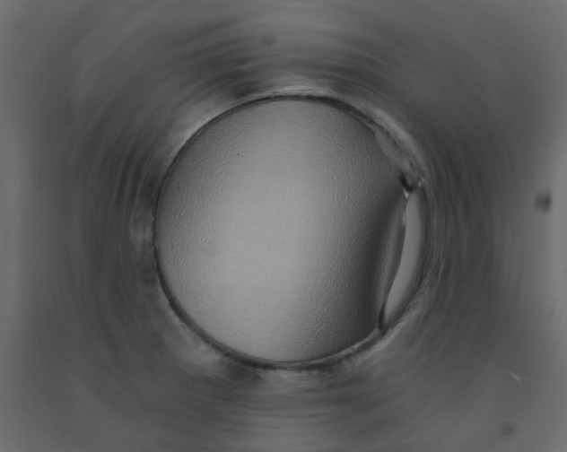 X0000092111281200710101135