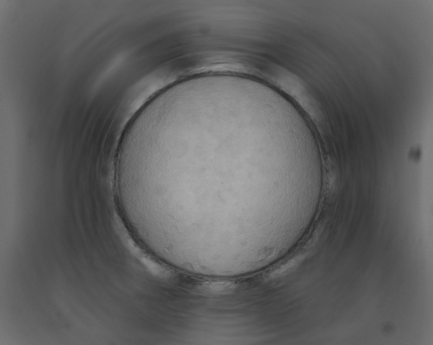 X0000092111282200710101135