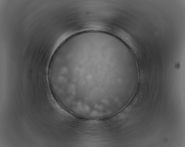 X0000092111283200710101135